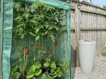 Images for St Johns Road, Leeming, Northallerton