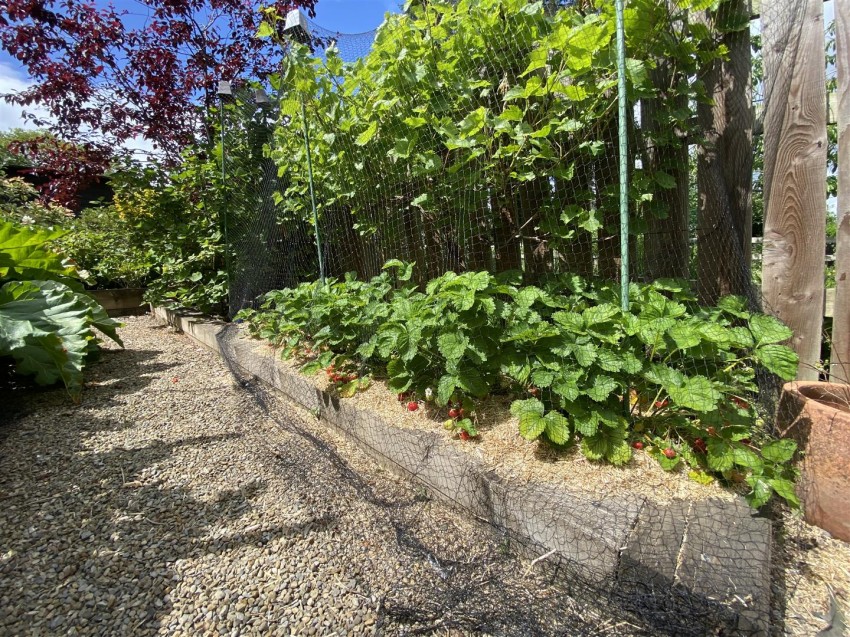 Images for South End, Bedale